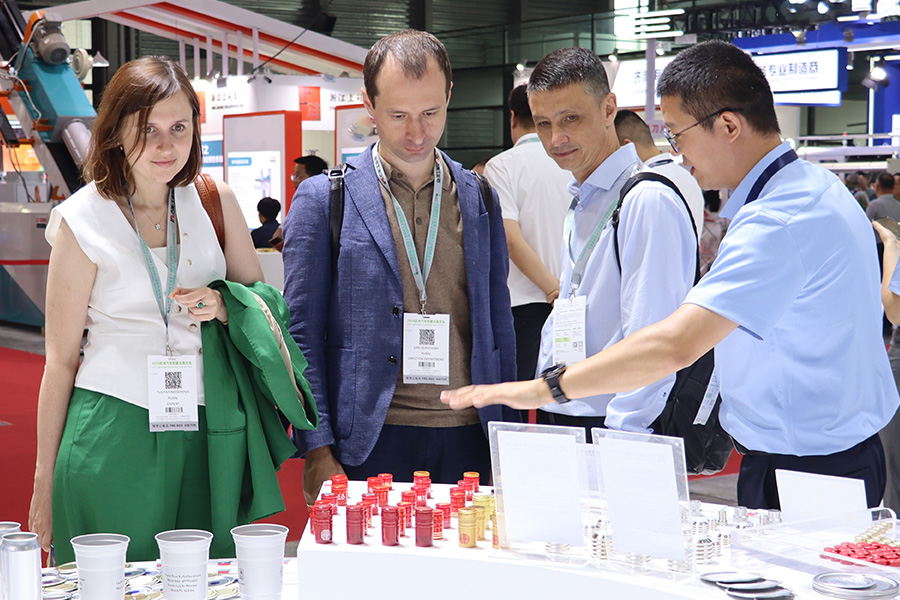 久久AV无码精品人妻系列试探