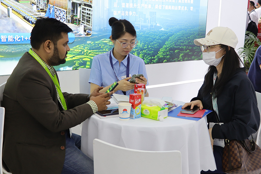 久久AV无码精品人妻系列试探