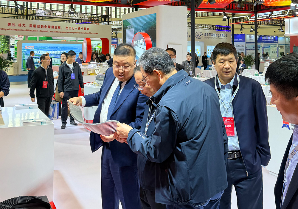 久久AV无码精品人妻系列试探