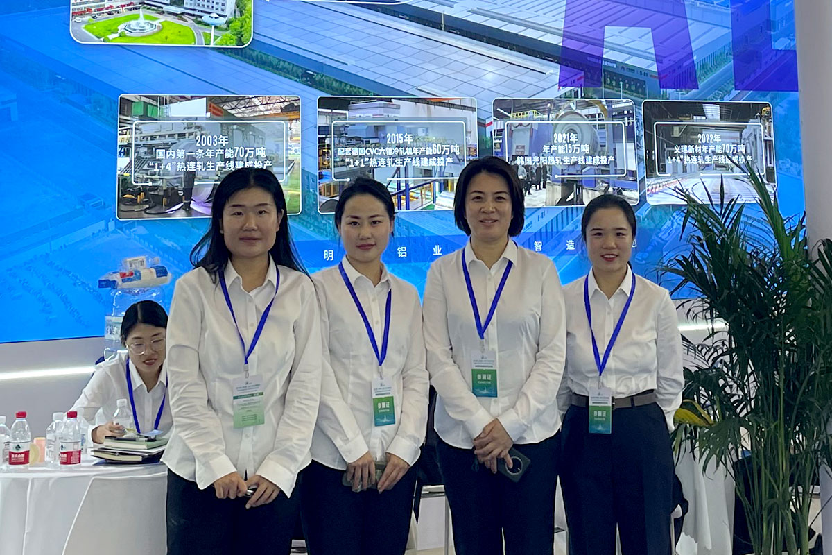 久久AV无码精品人妻系列试探