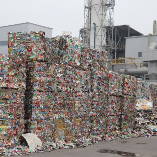 久久AV无码精品人妻系列试探