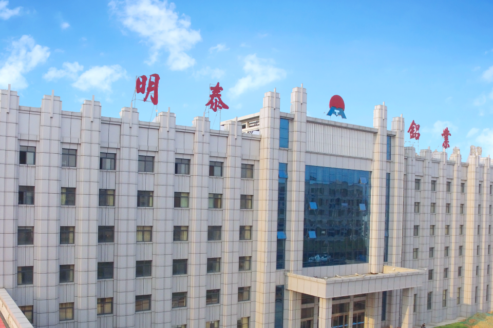 久久AV无码精品人妻系列试探