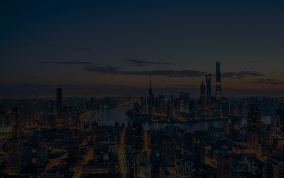 久久AV无码精品人妻系列试探