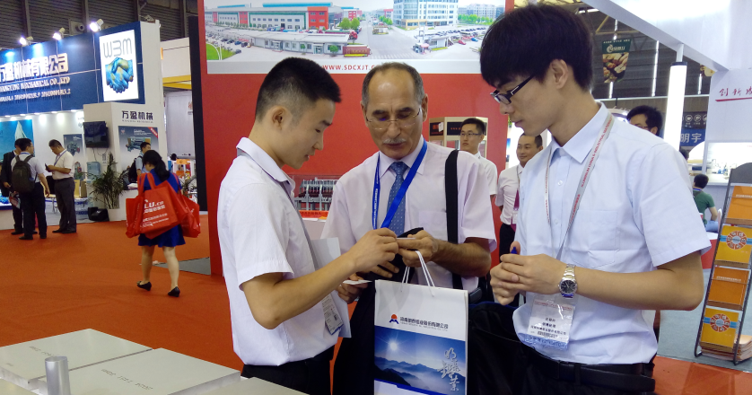 久久AV无码精品人妻系列试探