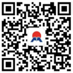 久久AV无码精品人妻系列试探