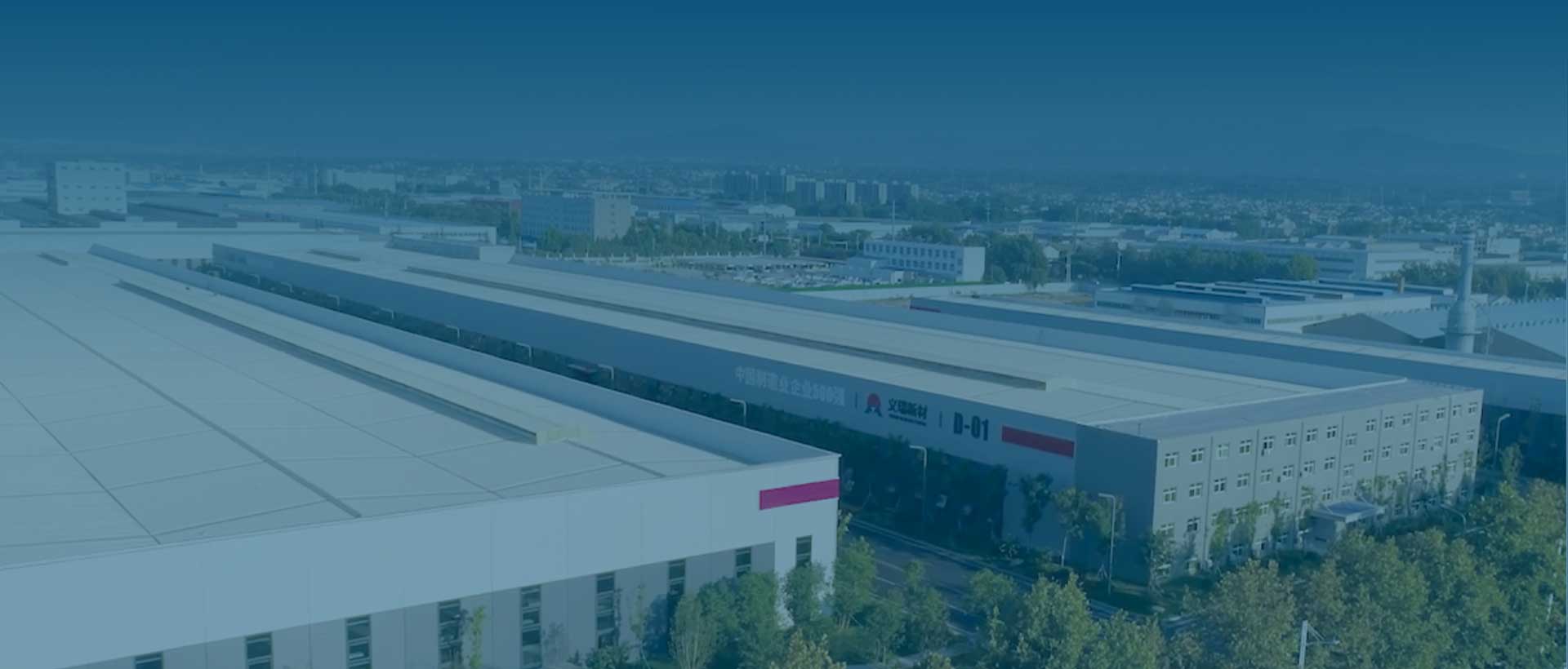 久久AV无码精品人妻系列试探