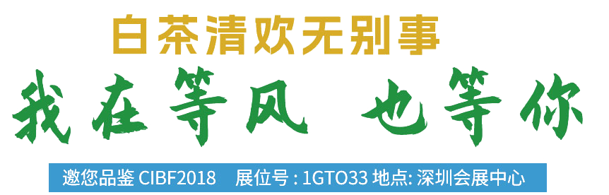 久久AV无码精品人妻系列试探