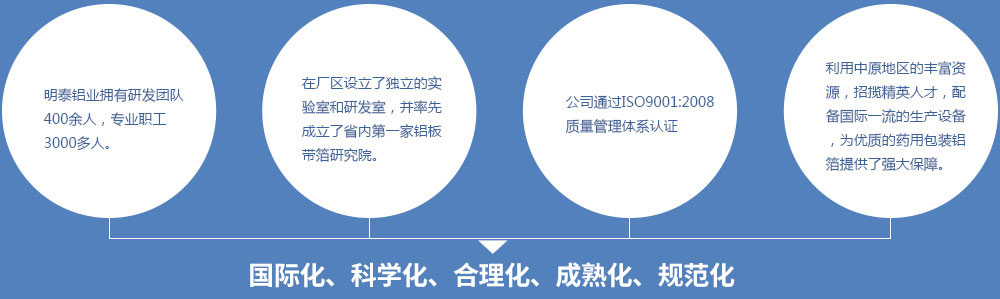 久久AV无码精品人妻系列试探